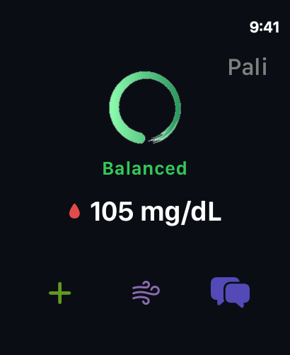 Pali on Apple Watch, showing today’s state.